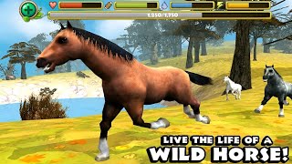 Wild Horse Simulator (By Gluten Free Games) - [4K 60FPS Max Settings] screenshot 3