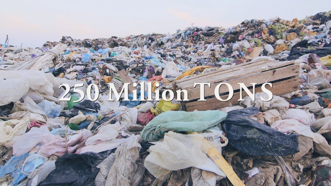 How and Why We Recycle in James City County YouTube