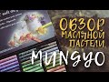 Обзор &quot;MUNGYO&quot; Пастель масляная профессиональная мягкая 48 цветов.