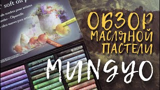 Обзор &quot;MUNGYO&quot; Пастель масляная профессиональная мягкая 48 цветов.