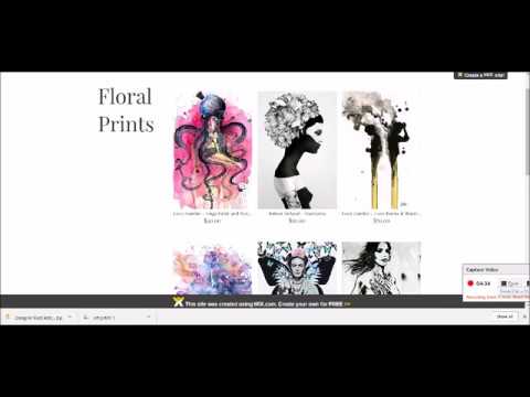 How to create a wix Amazon affiliate store using gallery method