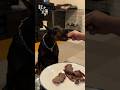 手作りビーフジャーキーをドーベルマンに与えたら指ごと持っていかれた