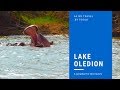 Lake oloiden Naivasha Kenya  Africa travel vlog