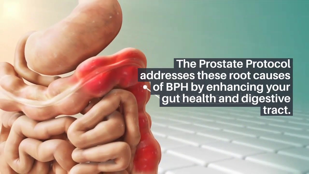 The Prostate Protocol Reviews – Finally a Solution for Enlarged Prostate?