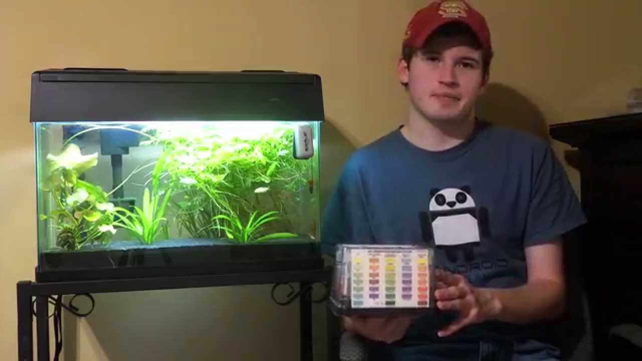 Weekly Aquarium Maintenance Checklist!
