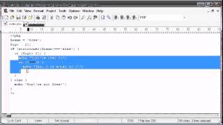 Beginner PHP Tutorial 8 Indentation