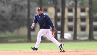 Watch as Detroit Tigers field ground balls Tuesday
