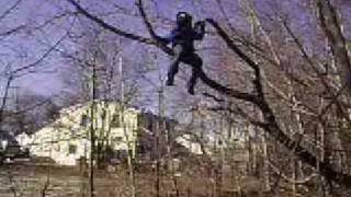 TheStuntMan1911 Tree Bloopers