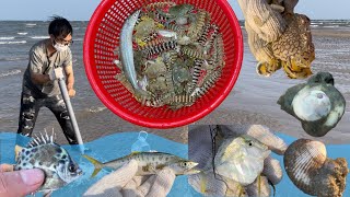 Catching Mantis Shrimp's Easy & Seafood - Fish Weir Discovery