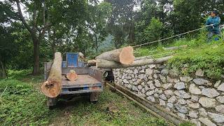 Disinfect the pig manure drainage pipes, cut wooden planks to build the roof.