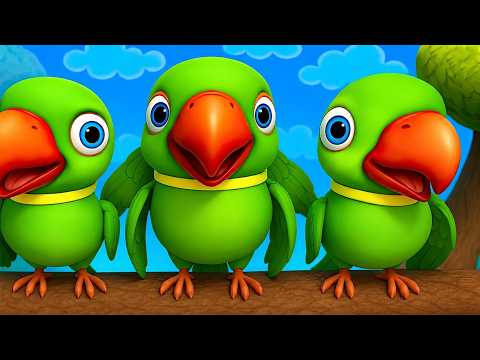 Main Tota Hare Rang Ka | मैं तोता मैं तोता | Mitthu Mitthu | Hindi Rhymes For Kids - Rainbow Rhymes