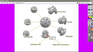 ActivExpression Available Formats