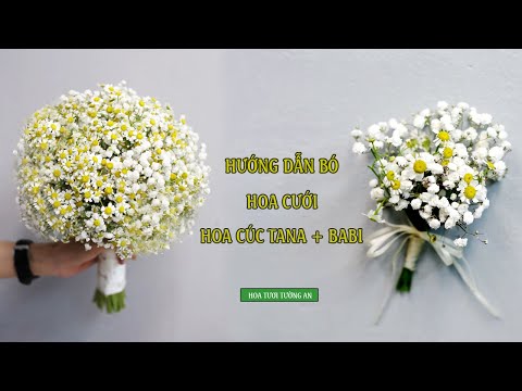 Hướng Dẫn Bó Hoa Cưới Bằng Cúc Tana Với Hoa Baby | Hoa Tươi Tường An