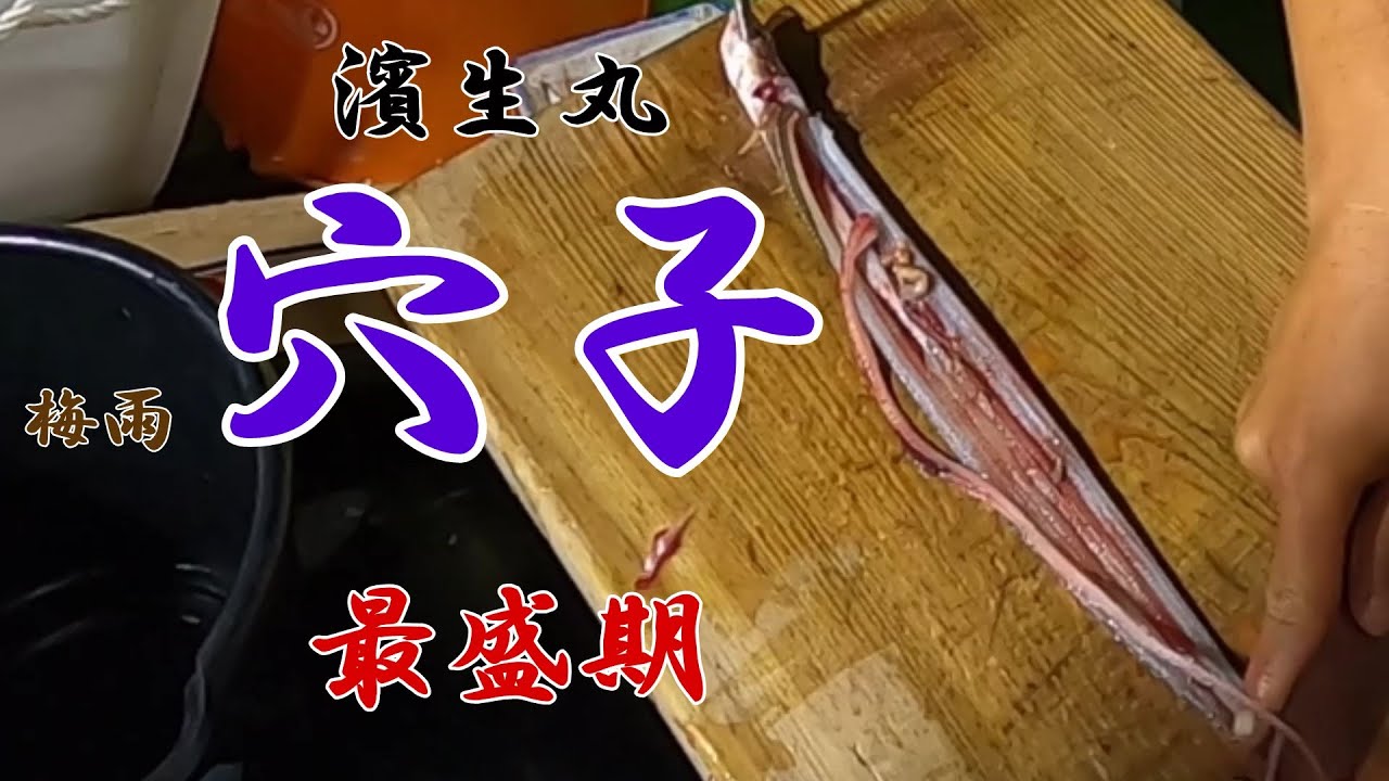 Инструкции по ловле морского угря с лодки