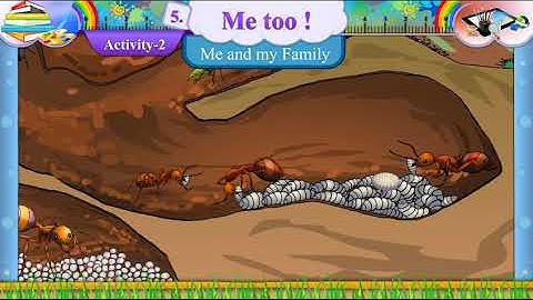 std 7th sem 2 unit 5 activity 2 with gujarati