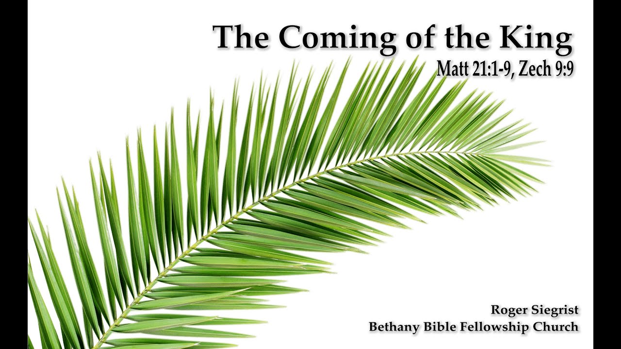 The Coming Of The King Matthew 21 1 9 Zechariah 9 9 YouTube the-coming-of-the-king-matthew-21-1-9-zechariah-9-9-youtube