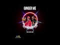 BGin Ft Bwoy Njobi GINGER ME