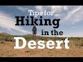 Tips for Hiking in the Desert