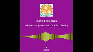 The Tramadol Pet Pain Management Myth