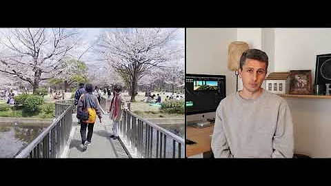Почему Сакура это больше чем дерево? - Жизнь в Японии