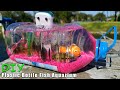 BEST Plastic Bottle Fish Aquarium DIY