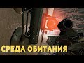 Среда обитания /Rainbow Six Siege