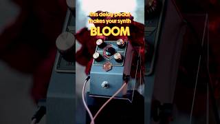 ambient delay pedal - POLLINATOR HAZEE DELAY @beetronicsfx  #pedaldemos #ambientpedal #delaypedal