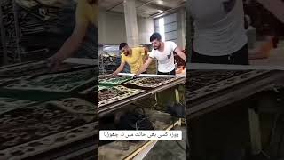 Download Lagu https://vt.tiktok.com/ZSmU4vyJ1/ MP3