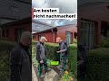 Die gewöhnliche Eibe - Taxus baccata
