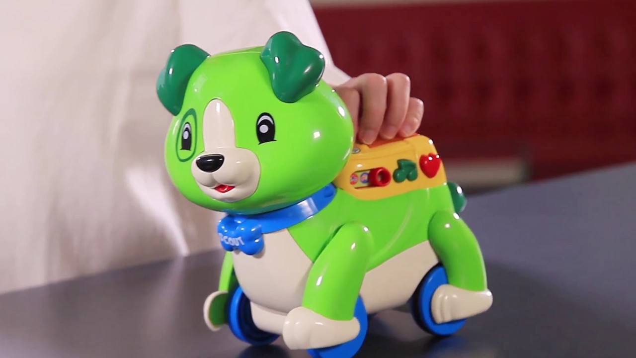 step and learn scout