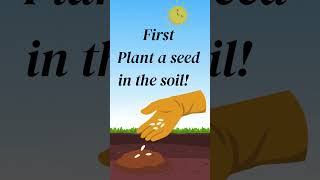 Watch a Seed Grow Into a Plant! 🌿 | Kids Science