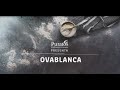 Merengue - Ovablanca