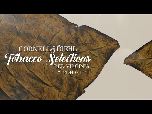 Tobacco Selections: Red Virginia 