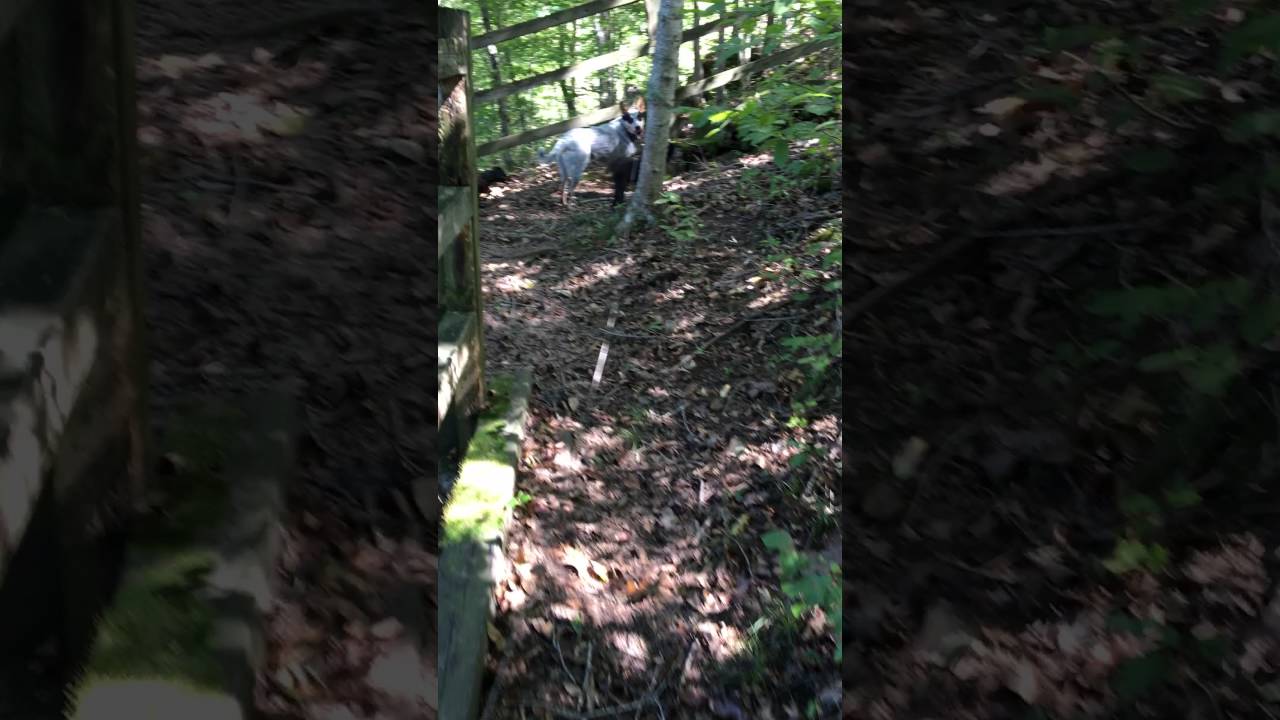 Destiny Parks Military - Fort Campbell, KY from Shelly S.