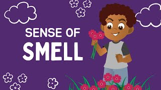 The Sense of SMELL for Kids - Compilation Video - Sense Organs
