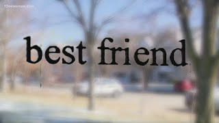 Court documents: Newport News man accidentally shoots, kills 'best friend'
