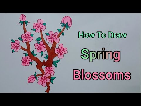 How To Draw Spring Blossoms / Spring Blossoms Drawing