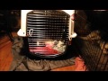 Calm Dogs in Crates- Take the Lead K9 Training Calm Dogs in Crates- Take the Lead K9 Training
