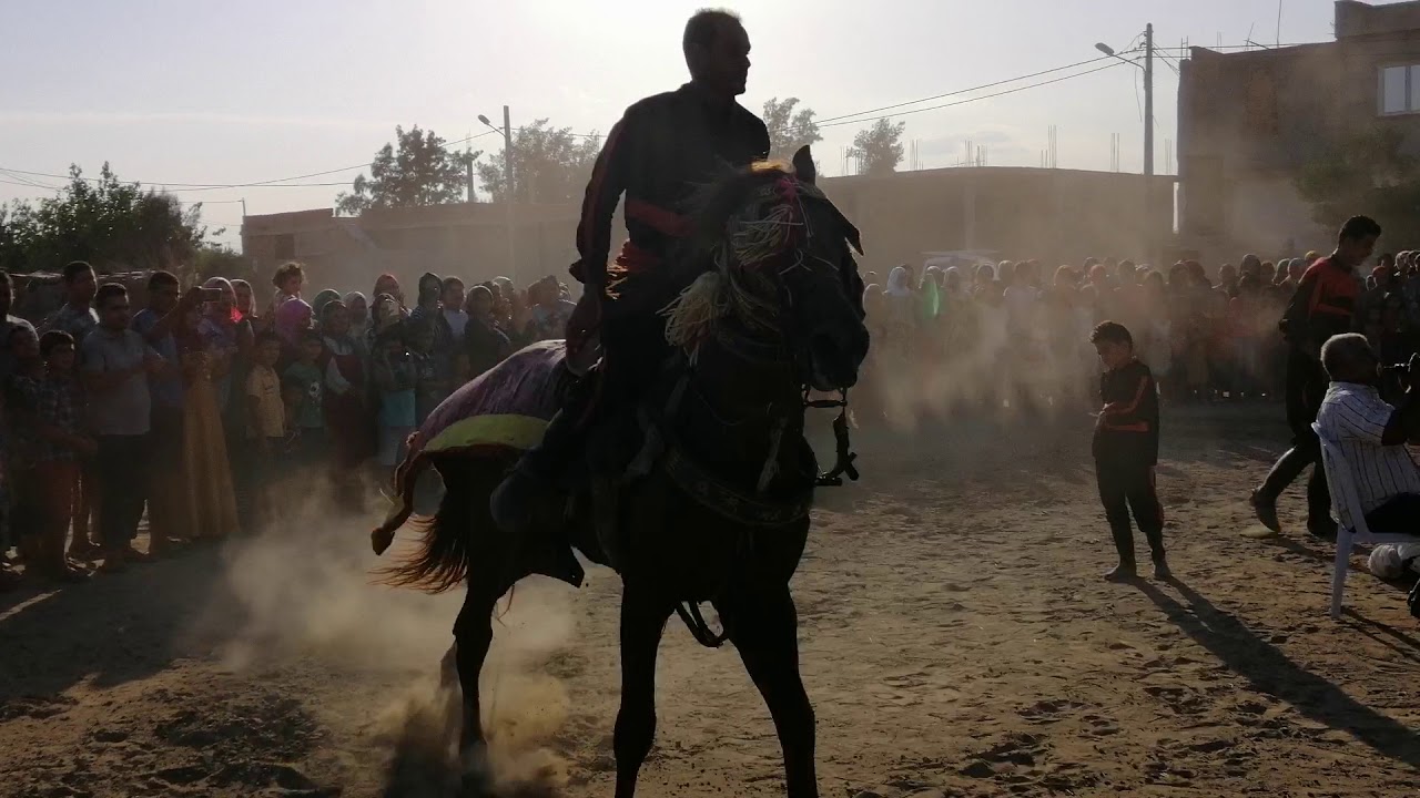 عرس ابراهيم القاسمي زعفرانة فرسان جلاص الف الف مبروووك