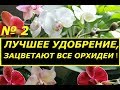 ОТ ЭТОГО УДОБРЕНИЯ ЗАЦВЕТАЮТ ВСЕ ОРХИДЕИ ! СУПЕР ПОДКОРМКА ДЛЯ ФАЛЕНОПСИСОВ ! ПРОДОЛЖЕНИЕ .