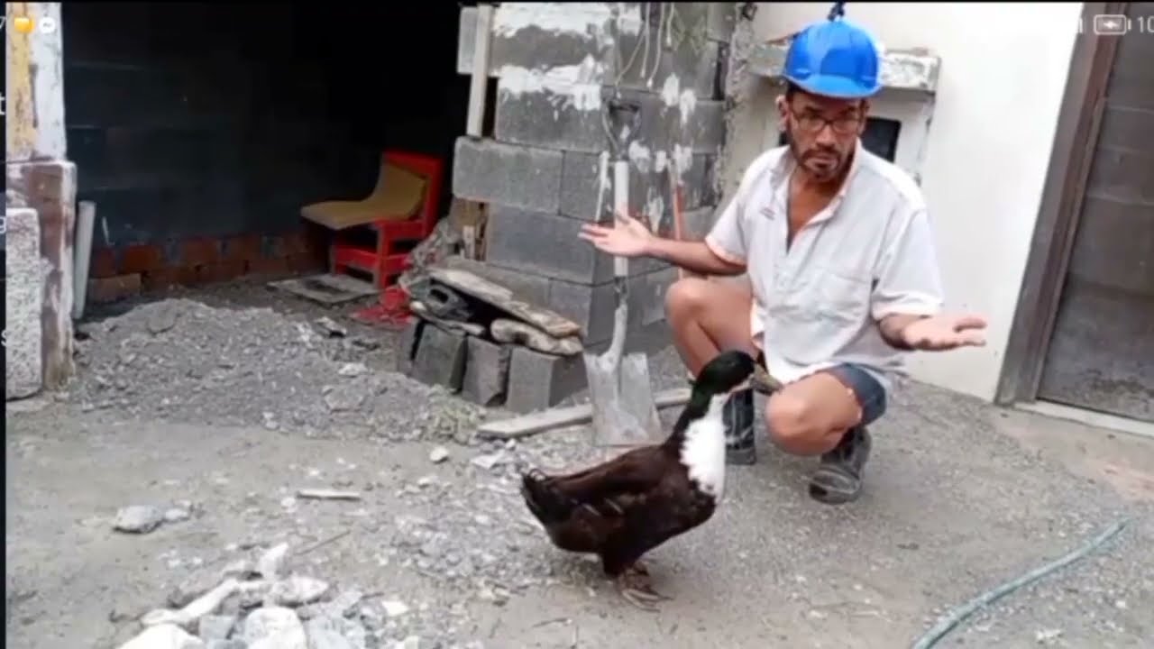 Se Inunda el Patio con la lluvia por un Error
