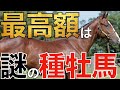 【日本で1頭】珍しい種牡馬の産駒が最高価格！オータムセールは特徴的な結果に。【競馬】