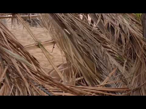 18+ Blue Lagoon The Awakening Romantic Kiss Scene 🔥 💋