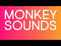 Monkey SOUND EFFECTS