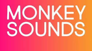 Monkey SOUND EFFECTS screenshot 3