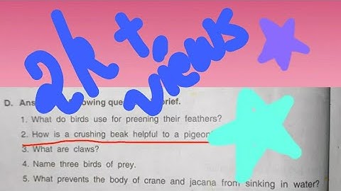 Dav class-4 Science Ch-5 Birds(Beaks and Claws) Question Answers Part -4