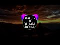 ЖАЛЬ НЕ ЗНАЛА ВОНА BASS BOOSTED