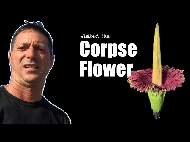 Chasing the World’s Stankiest Flower + Playing Vinyl at the Campsite on What’s Up Wednesday!? 📱