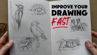 5 Tips for Drawing Animals 5 Tips for Drawing Animals