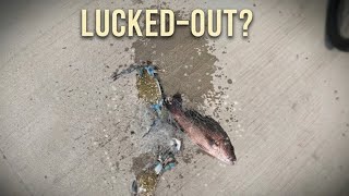 Using 1 crab net at Pulau Ubin | Singapore Fishing